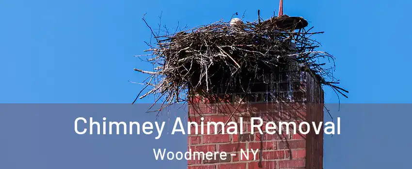  Chimney Animal Removal Woodmere - NY