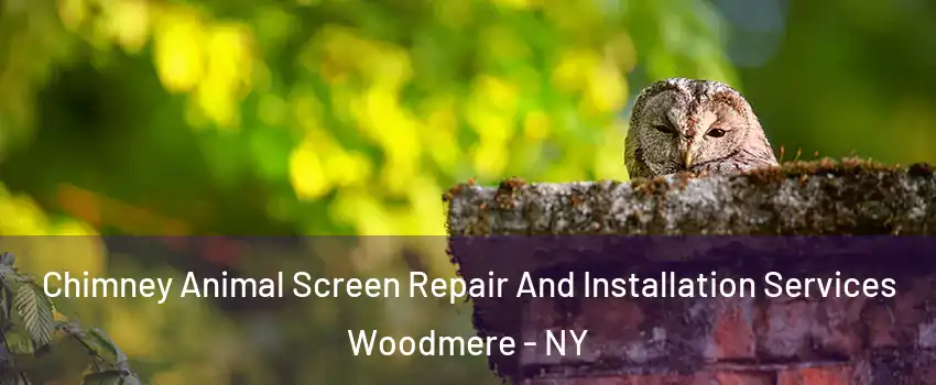  Chimney Animal Screen Repair And Installation Services Woodmere - NY