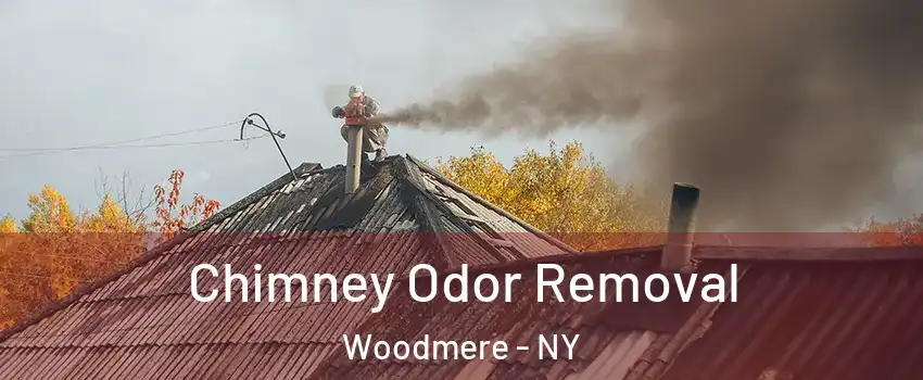 Chimney Odor Removal Woodmere - NY