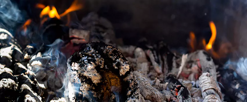 Creosote Removal Experts in Woodmere, NY