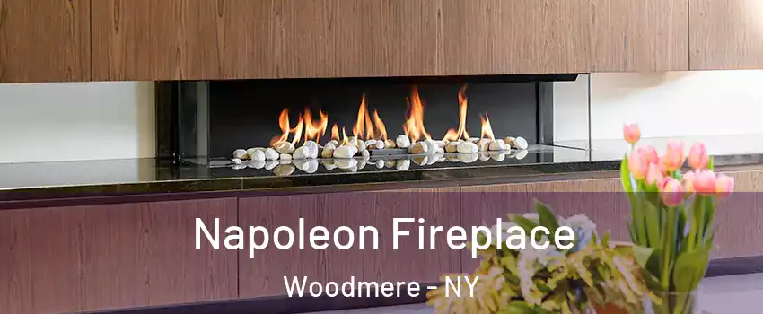  Napoleon Fireplace Woodmere - NY